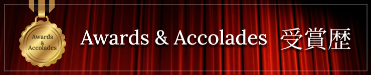 Awards&Accolades獎項